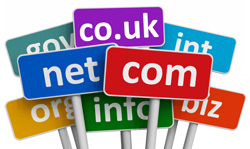 Domain Management Features