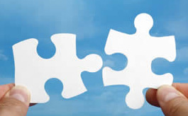 Key Differences Between the Web Hosting Plans